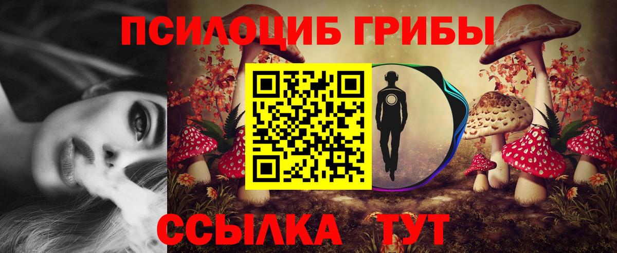 Псилоцибиновые грибы мухоморы Кандалакша